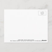 Frühlingslamelle Postkarte (Rückseite)