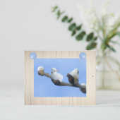 Frühlingslämmchen Postkarte (Stehend Vorderseite)