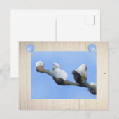 Frühlingslämmchen Postkarte (Vorne/Hinten)