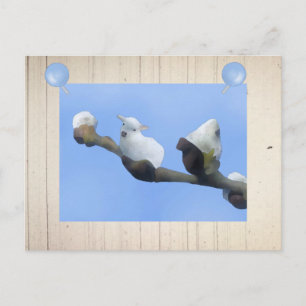 Frühlingslämmchen Postkarte