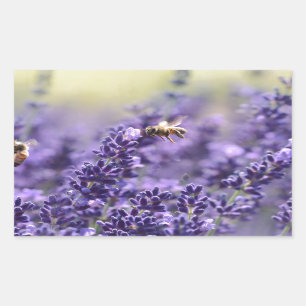 Frühlingslavendel mit Bienen Lila Blumen Rechteckiger Aufkleber