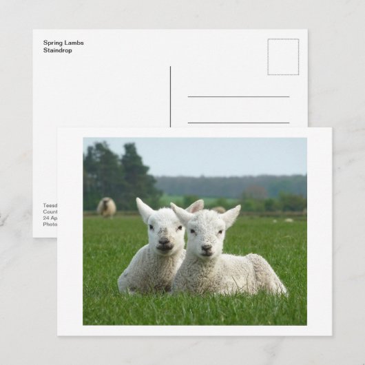 Frühlingsleder Postkarte (Vorne/Hinten)