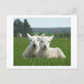 Frühlingsleder Postkarte (Vorderseite)