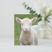 Frühlingsleder Postkarte (Stehend Vorderseite)