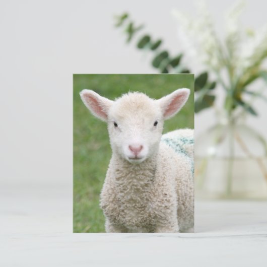 Frühlingsleder Postkarte (Stehend Vorderseite)