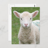 Frühlingsleder Postkarte (Vorne/Hinten)