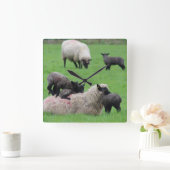 Frühlingsleder und Schafe Quadratische Wanduhr (Zuhause)