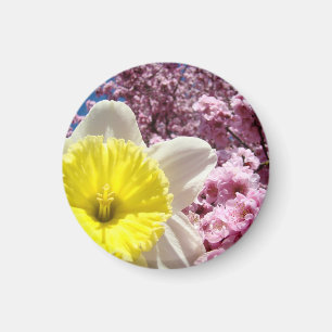 Frühlingsmagnete Gelbe Narzissen Rosa Blüten Magnet