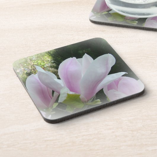 Frühlingsmagnolische Blume Getränkeuntersetzer (Linke Seite)
