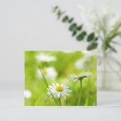 Frühlingsmänner nah postkarte (Stehend Vorderseite)