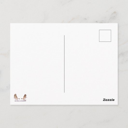 Frühlingsmelt Postkarte (Rückseite)