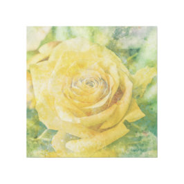 Frühlingsmorgens Gelbrosa im pastellfarbenen Wasse Galerieleinwand