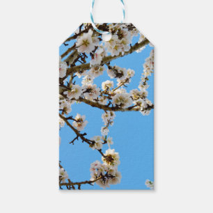 Frühlingsmuster: Weiße Blüten gegen blauen Himmel Geschenkanhänger