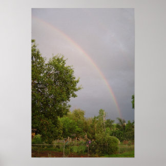 Frühlingsnachmittag Poster