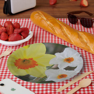 Frühlingsnarzisse blüht floral pappteller