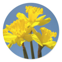 Frühlingsnarzissen Blumen Aufkleber Umschlag Siege