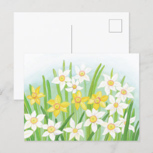 Frühlingsnarzissen  postkarte