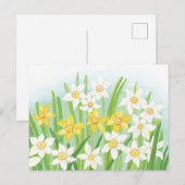 Frühlingsnarzissen postkarte (Vorne/Hinten)