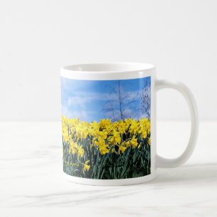 Frühlingsnarzissen, Shrewsbury, Shropshire, Kaffeetasse