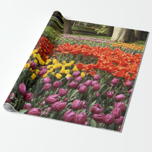 Frühlingspapier Geschenkpapier