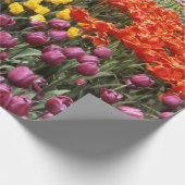 Frühlingspapier Geschenkpapier (Ecke)