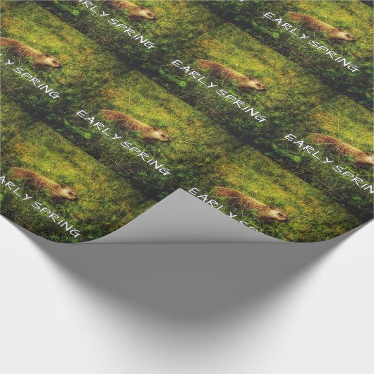 Frühlingspapier Geschenkpapier (Ecke)