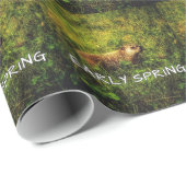 Frühlingspapier Geschenkpapier (Rolleneckpunkt)