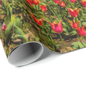 Frühlingspapier Geschenkpapier (Rolleneckpunkt)