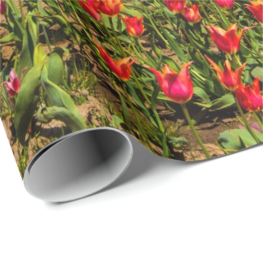 Frühlingspapier Geschenkpapier (Rolleneckpunkt)