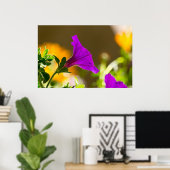 Frühlingspark Glühen Lila Petunia Poster (Heimbüro)