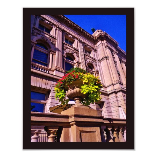 FrühlingsPflanze Fotodruck (Vorne)