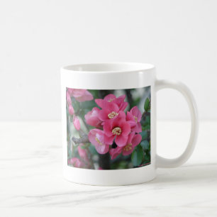 Frühlingspink blühende Ruhe Kaffeetasse