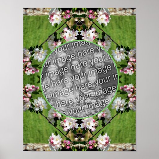 Frühlingspink und weiß Blüten ergänzen Ihr eigenes Poster (Vorne)