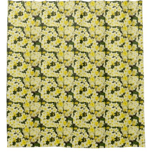 Frühlingsprirosen Duschvorhang (Vorderseite)