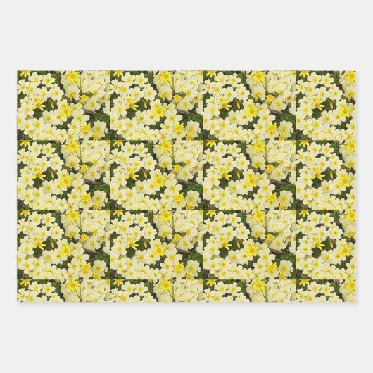 Frühlingsprirosen Geschenkpapier Set (Vorderseite 2)