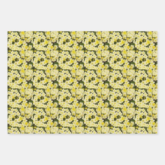 Frühlingsprirosen Geschenkpapier Set (Vorderseite)