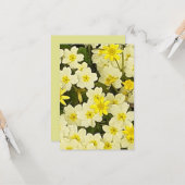 Frühlingsprirosen Karte (Vorderseite/Rückseite Beispiel)