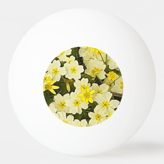 Frühlingsprirosen Tischtennisball (Vorderseite)