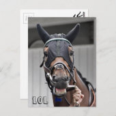 Frühlingsqualität Postkarte (Vorne/Hinten)