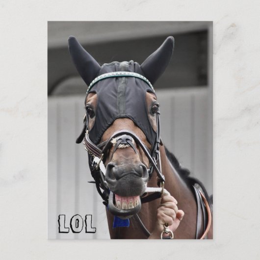 Frühlingsqualität Postkarte (Vorderseite)