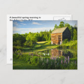 Frühlingsreflektionen in den Adirondacks, N.Y. Postkarte (Vorne/Hinten)