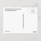 Frühlingsreflektionen in den Adirondacks, N.Y. Postkarte (Rückseite)