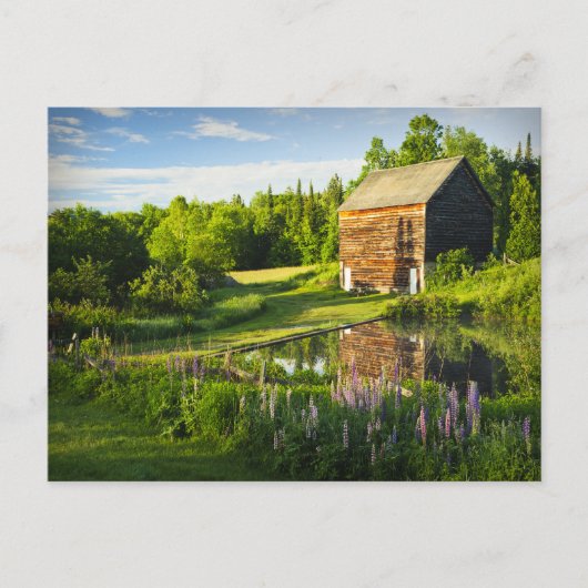 Frühlingsreflektionen in den Adirondacks, N.Y. Postkarte (Vorderseite)