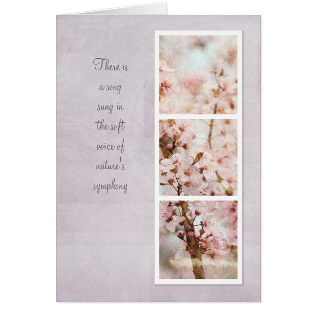 Frühlingsromane Kirschblüten (Vorne)