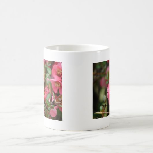 Frühlingsrosa blühende Ruhe Kaffeetasse (Mittel)