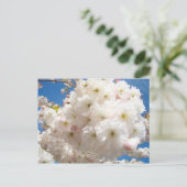 Frühlingsrosa Blume Weiße Bäume blühen Postkarten (Stehend Vorderseite)