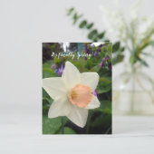 Frühlingsrosa Cup Daffodin Postkarte (Stehend Vorderseite)