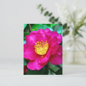 Frühlingsrosa Postkarte (Stehend Vorderseite)