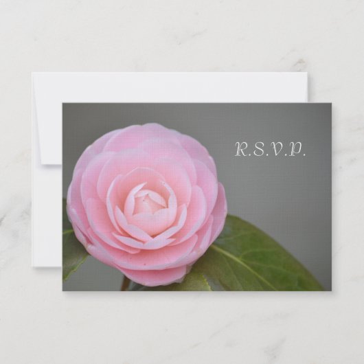 Frühlingsrosa Rose RSVP Karte (Vorderseite)