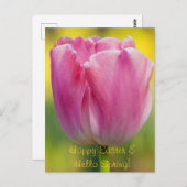 Frühlingsrosa Tulip Postkarte (Vorne/Hinten)